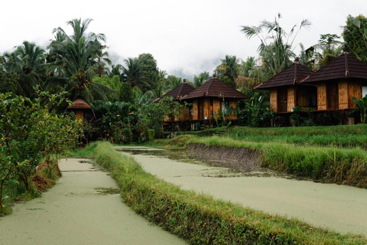 Villa Puri Sunny Camp Munduk Exterior foto