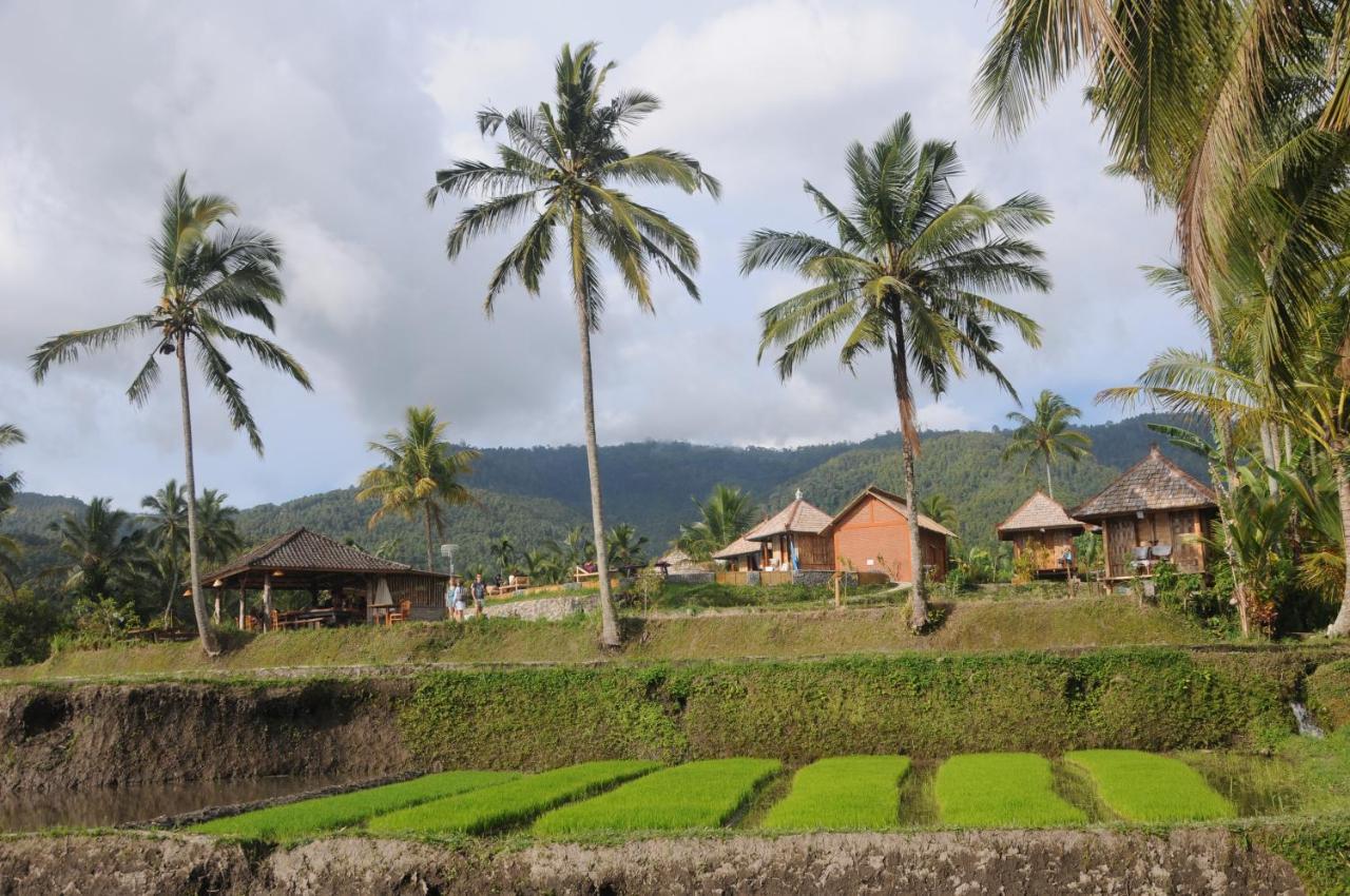Villa Puri Sunny Camp Munduk Exterior foto